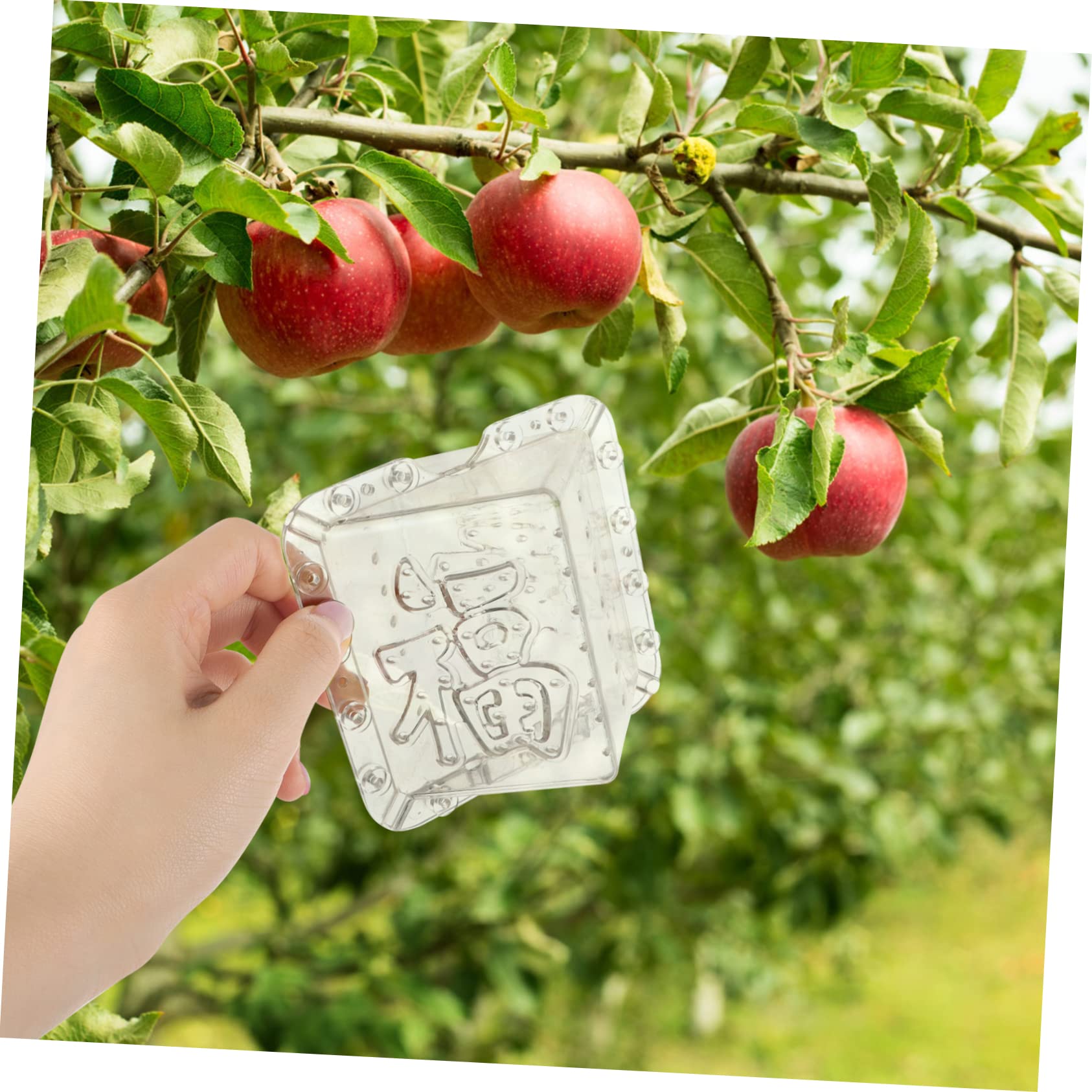 Amazon.com: IWOWHERO 2pcs Square Fruit Melon Shaping Tool for